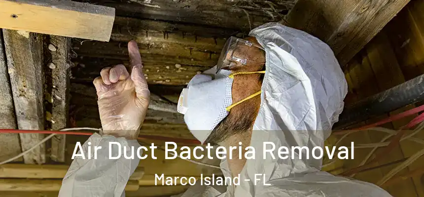 Air Duct Bacteria Removal Marco Island - FL