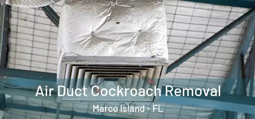 Air Duct Cockroach Removal Marco Island - FL
