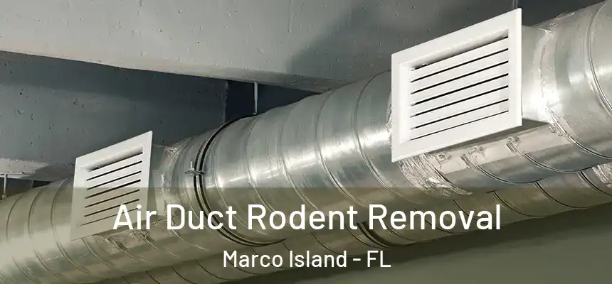 Air Duct Rodent Removal Marco Island - FL