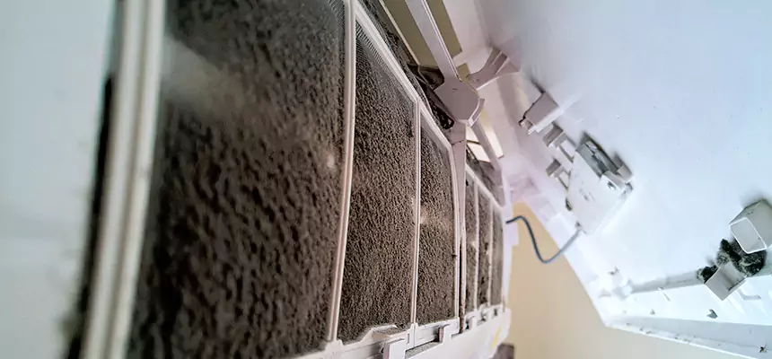 Preventive Air Duct Bacteria Removal in Marco Island