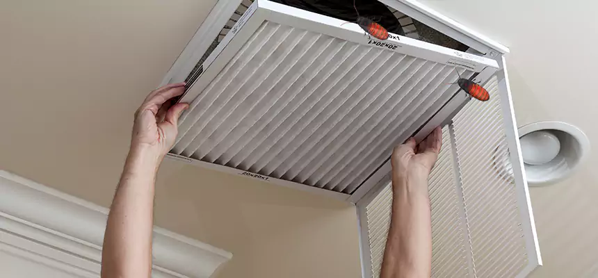 Preventive Cockroach-Proofing for Ducts in Marco Island