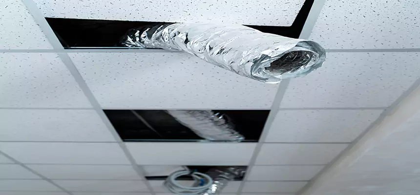 Our Air Duct Pet Hair Removal Services in Marco Island, FL