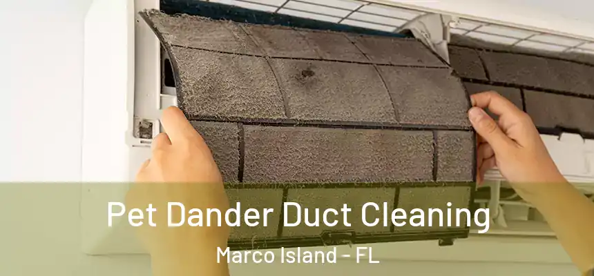 Pet Dander Duct Cleaning Marco Island - FL