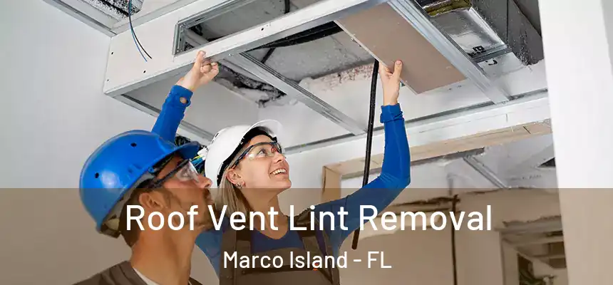 Roof Vent Lint Removal Marco Island - FL