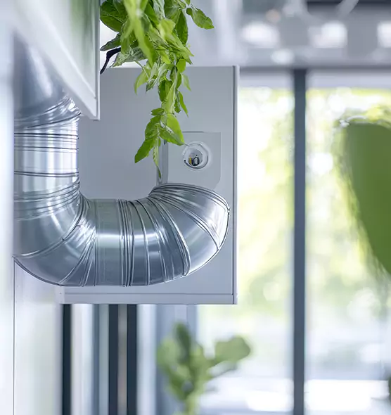 Professional Eco-Safe Dryer Vent Cleaning in Marco Island, FL