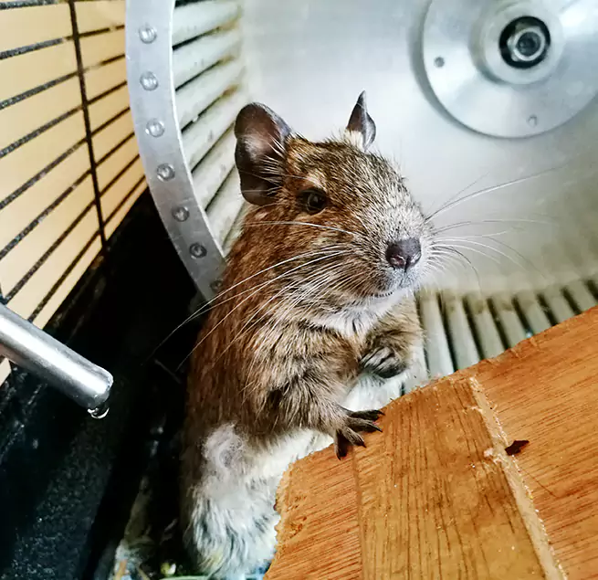 Why Homeowners & Businesses Trust Us Marco Island, FL