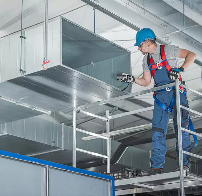 Why Homeowners & Businesses Trust Us in Marco Island, FL?