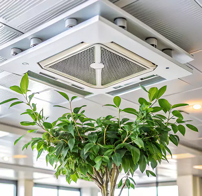 Why Homeowners & Businesses Trust Us in Marco Island, FL?