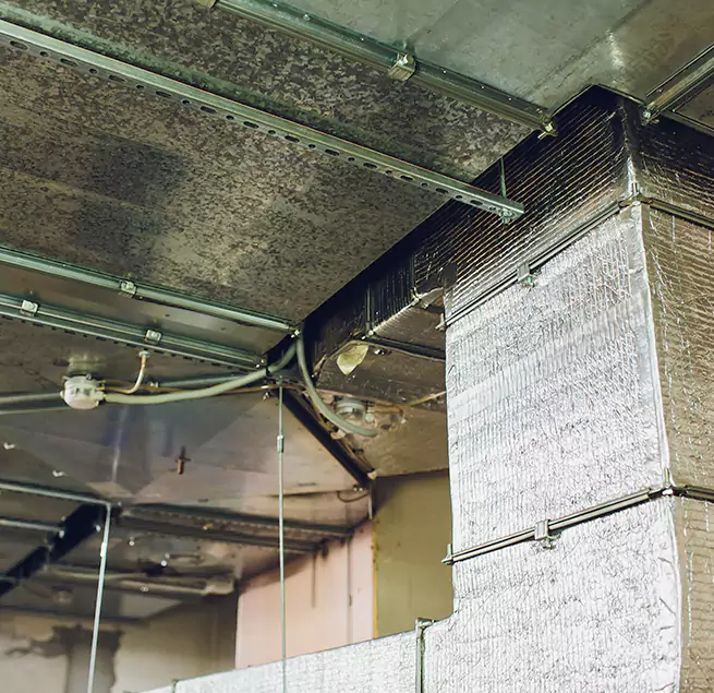 Why Homeowners & Businesses Trust Us in Marco Island, FL?