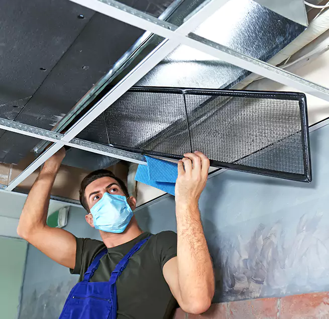 Why Homeowners Businesses Trust Us in Marco Island, FL?