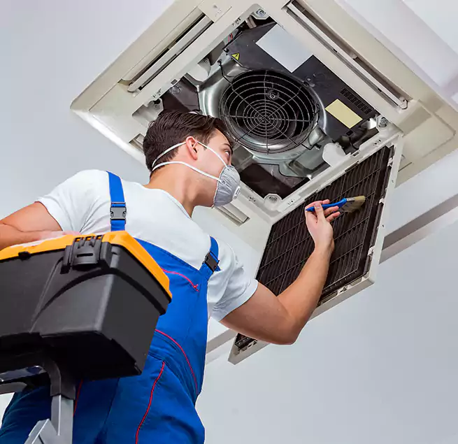 Why Homeowners & Businesses Trust Us in Marco Island, FL?